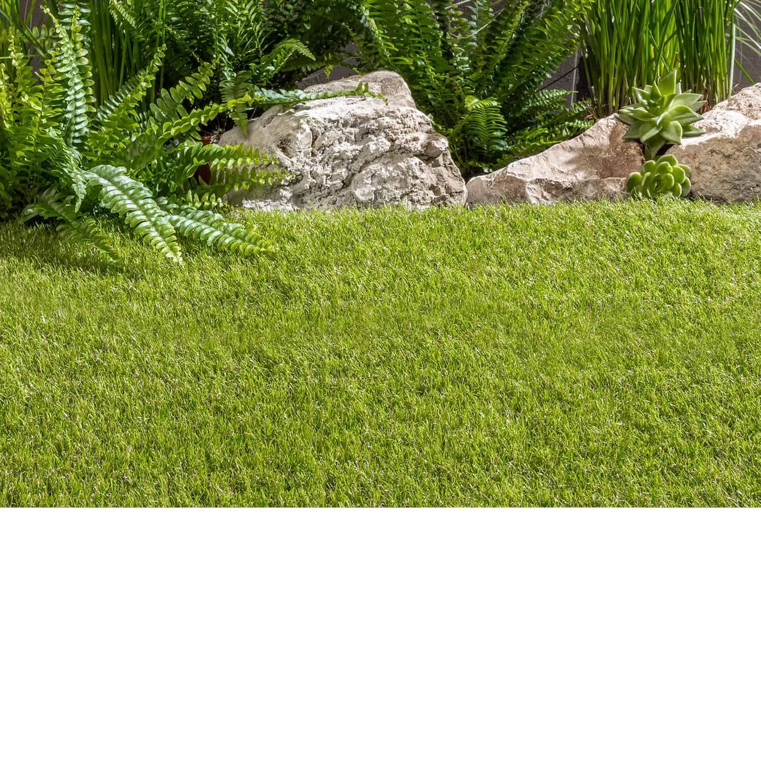 Princess 45 mm erba sintetica alta 45 mm per giardinaggio e tappeti di  sicuro lusso.