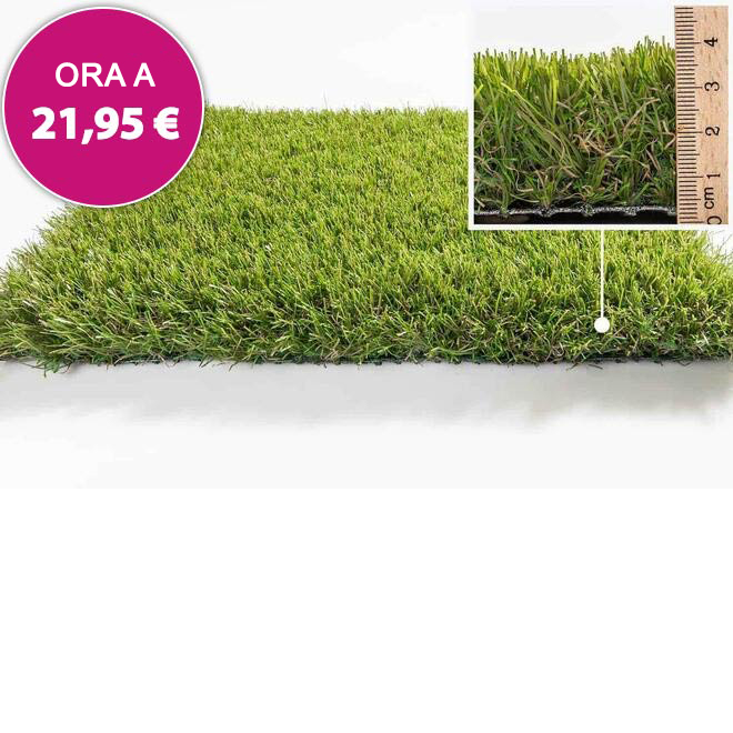 Modello Danimarca